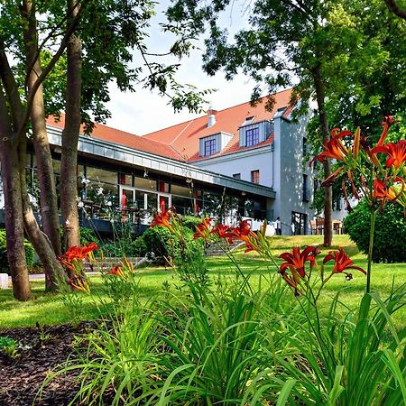Arthotel Kiebitzberg 하벨베르크 외부 사진